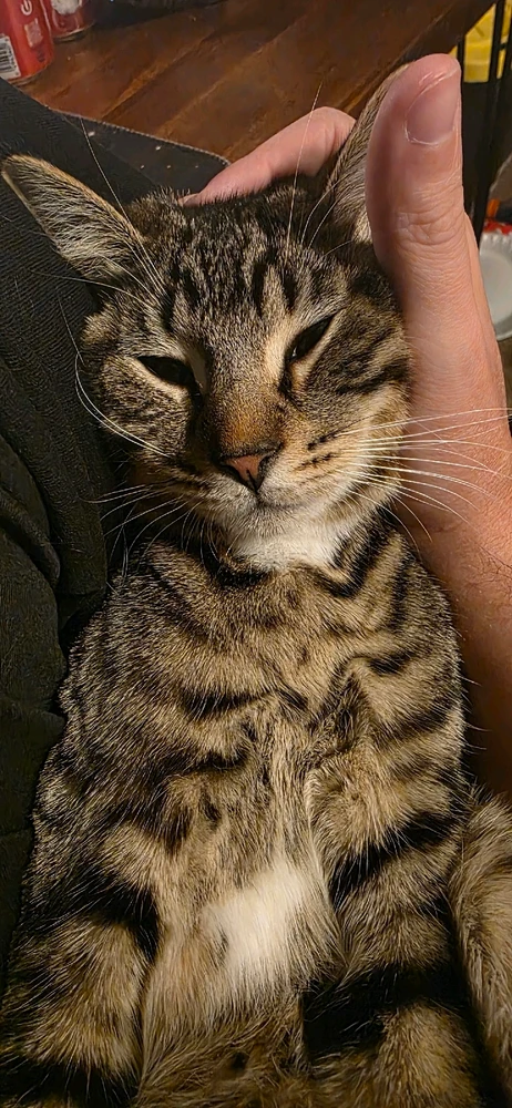 Image uploaded by Michael