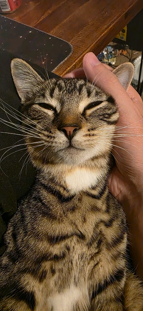 Image uploaded by Michael