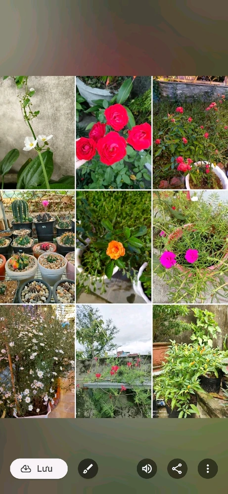 GIF uploaded by Thảo