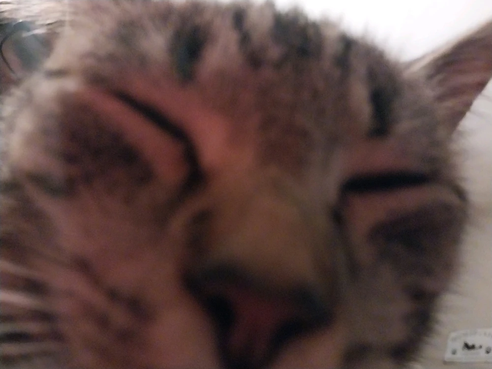 GIF uploaded by Casey