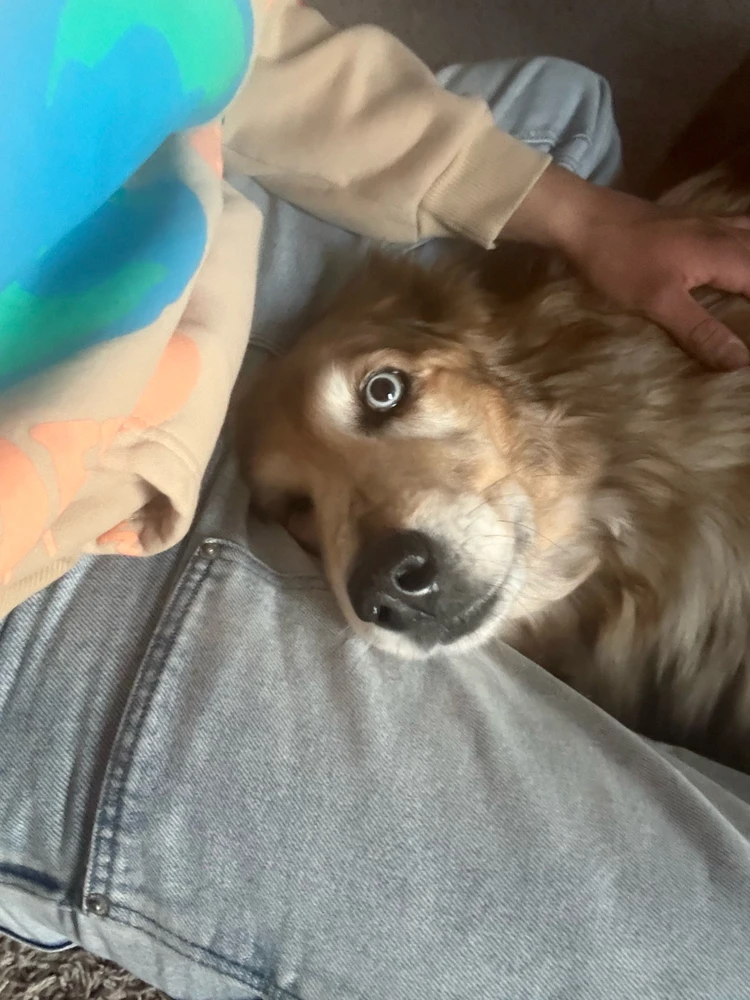 GIF uploaded by Alex