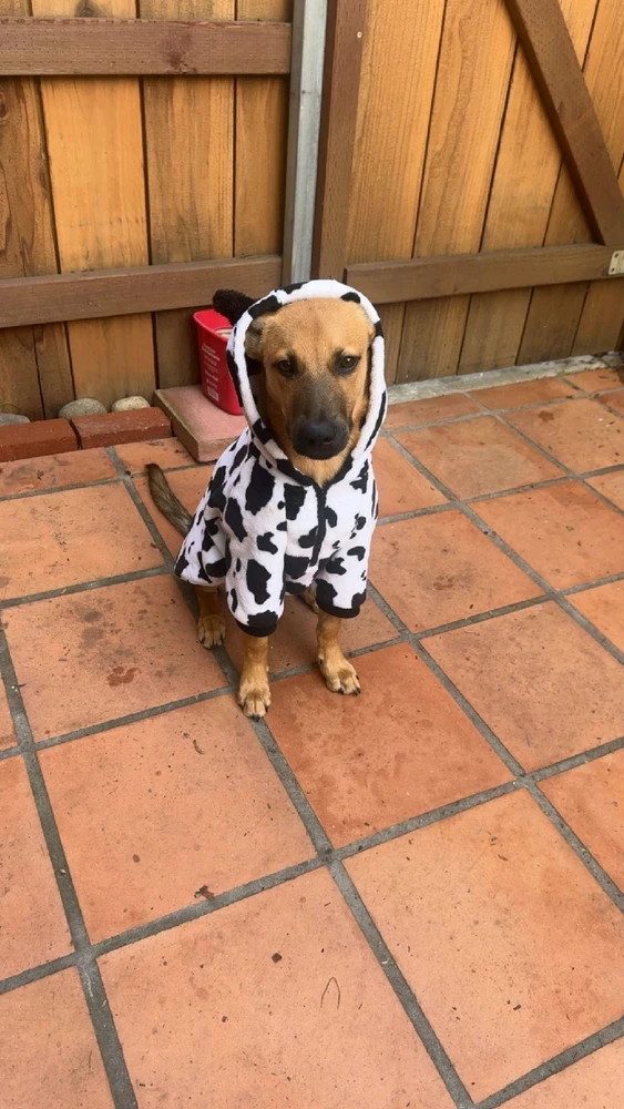 GIF uploaded by Justin