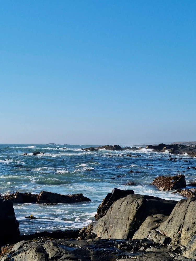 Image uploaded by Meagan