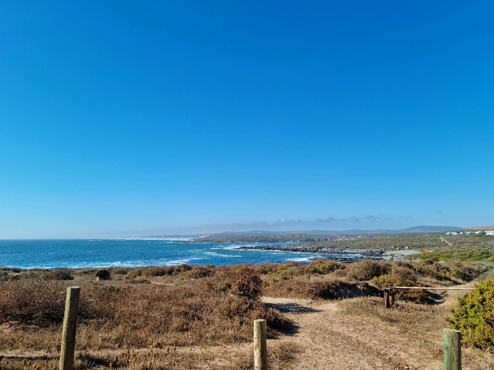 Image uploaded by Meagan