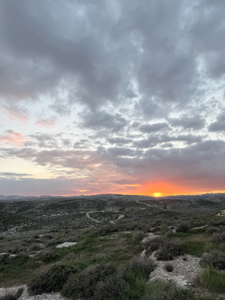 Gambar diunggah dening MK