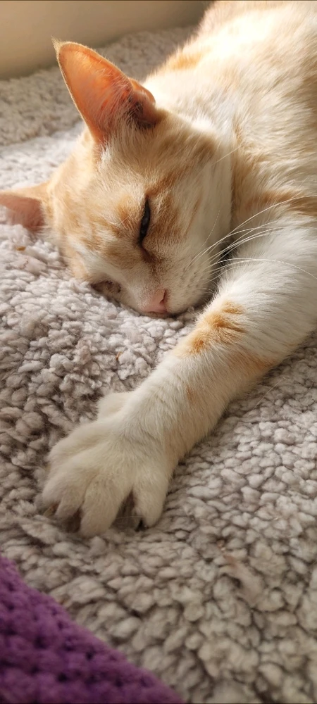 Image uploaded by Marios