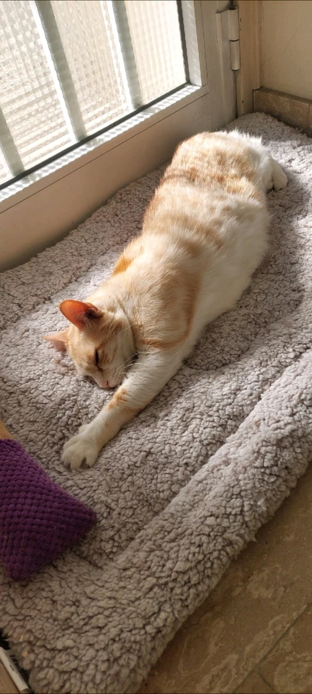 Image uploaded by Marios