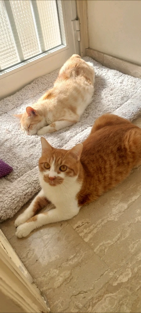 Image uploaded by Marios