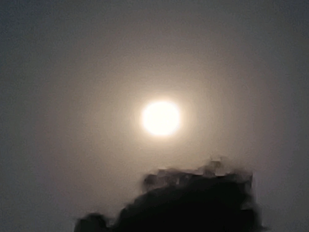 Image uploaded by Pavan