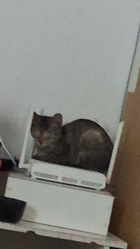 GIF enviado por Antonio Jose dos Santos