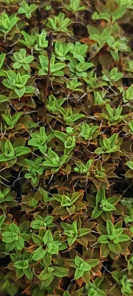 Image uploaded by Marios