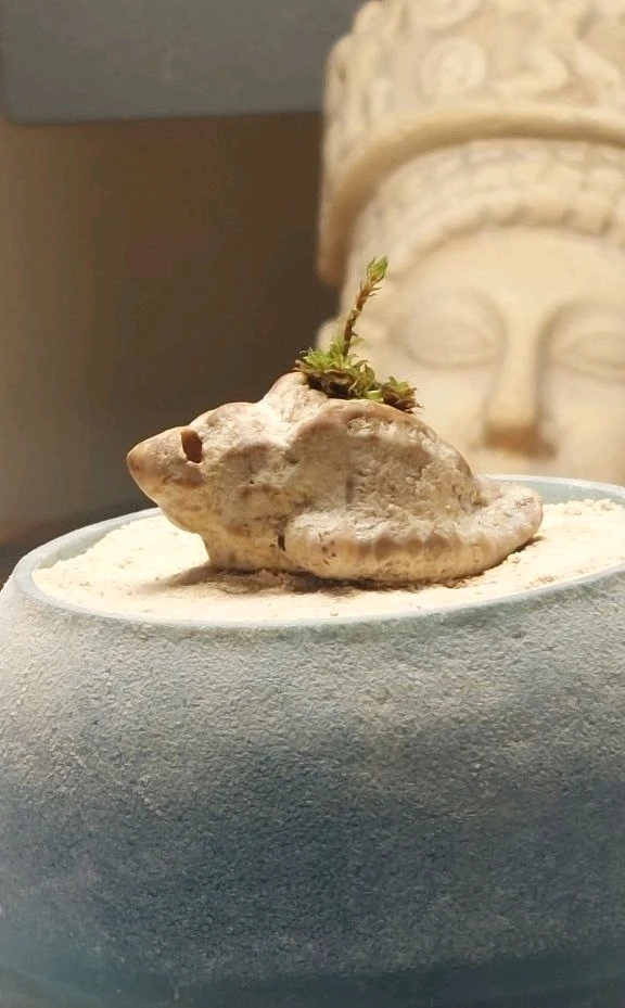 Image uploaded by Marios