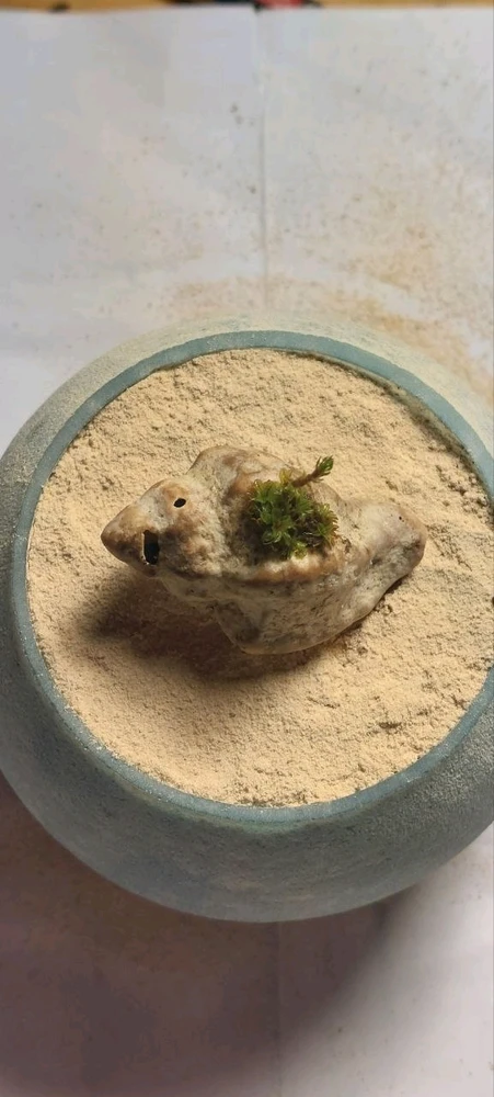 Image uploaded by Marios