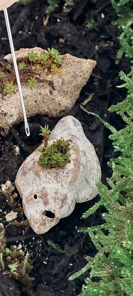 Image uploaded by Marios