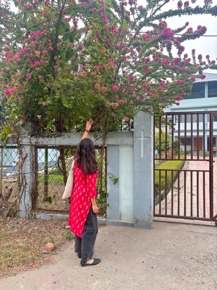 GIF uploaded by TUNAFISH