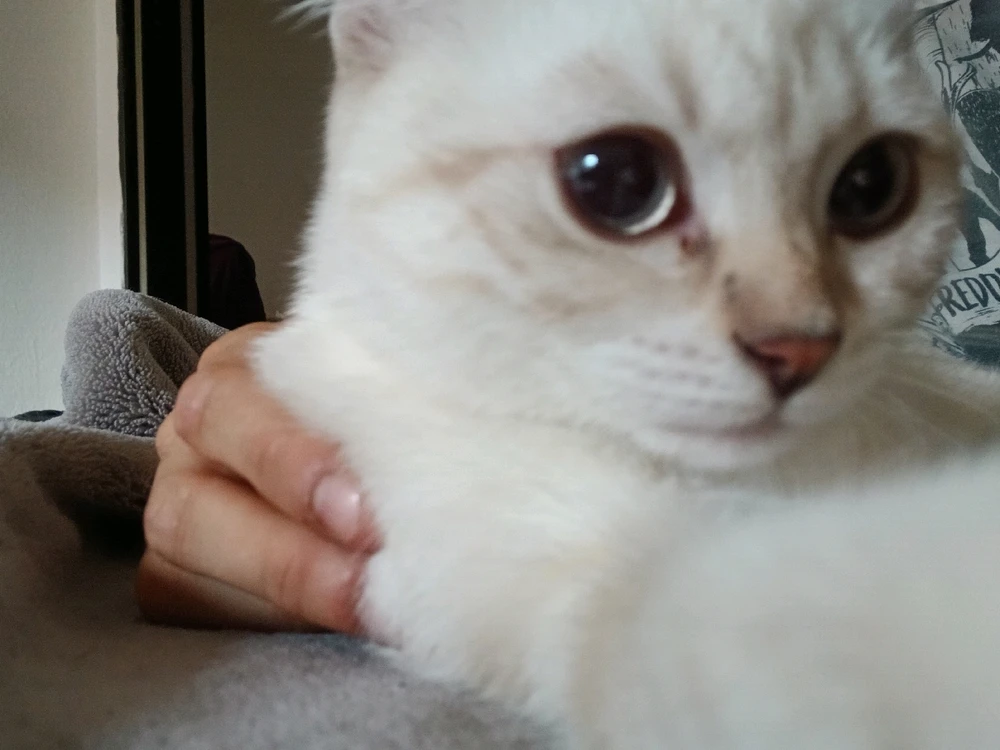 GIF hochgeladen von John-Michael