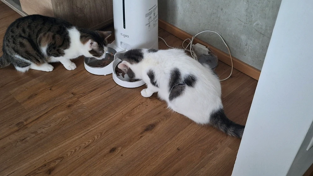 GIF hochgeladen von Max