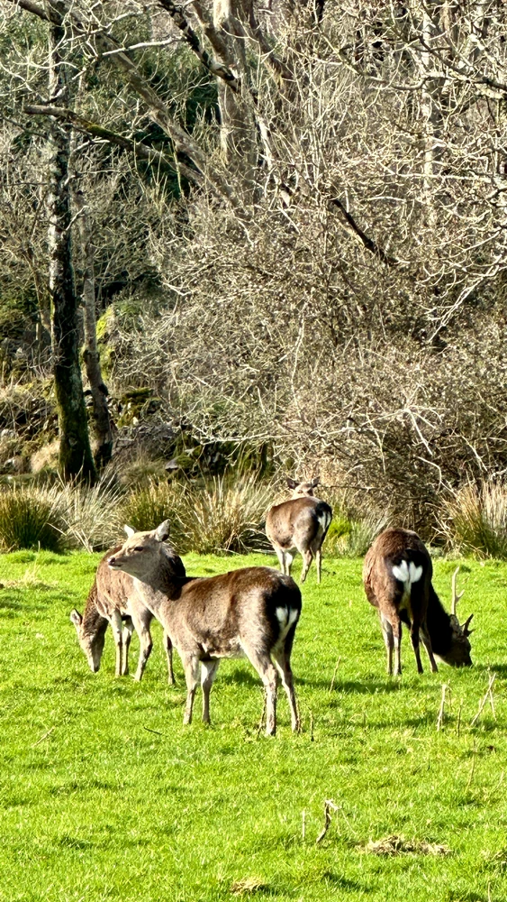 GIF uploaded by Alexandru