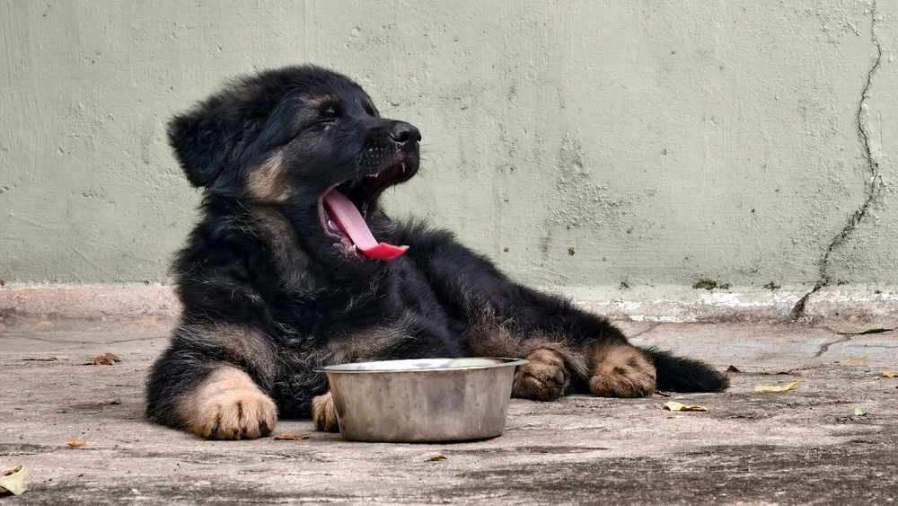 GIF uploaded by Alex Nelson