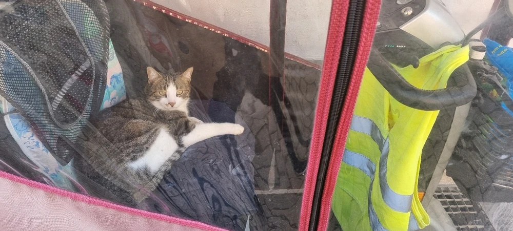 Bild hochgeladen von Riley D Walker