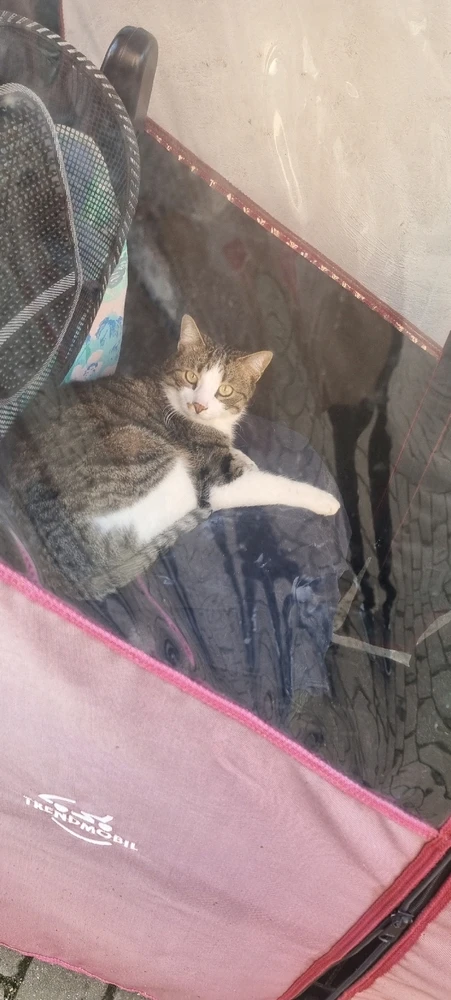 Bild hochgeladen von Riley D Walker