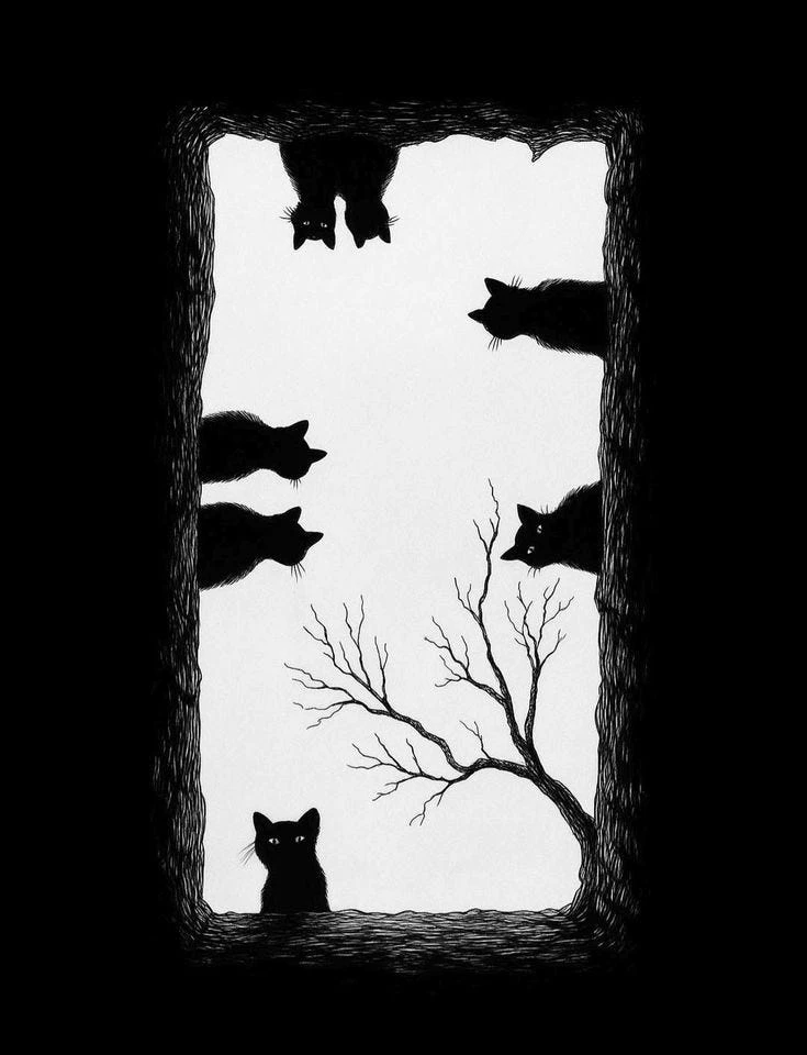 Imagen subida por Adrián