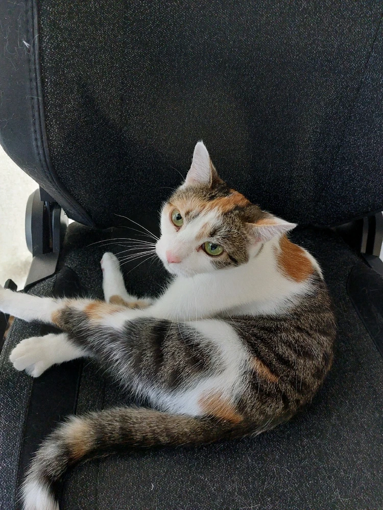 GIF dodany przez Jarek