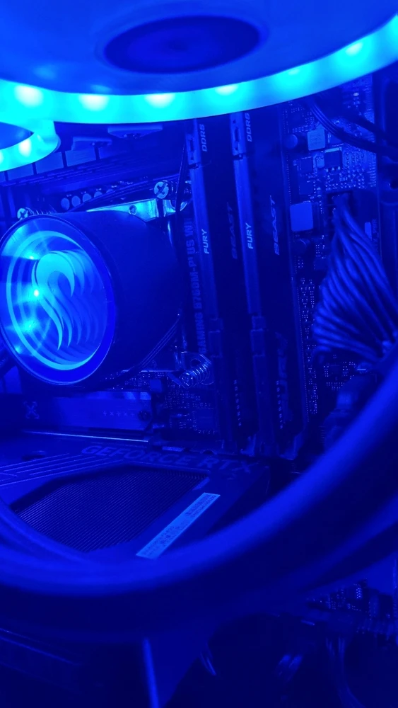 Imagem enviada por Mareson