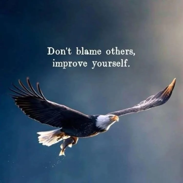 GIF uploaded by William