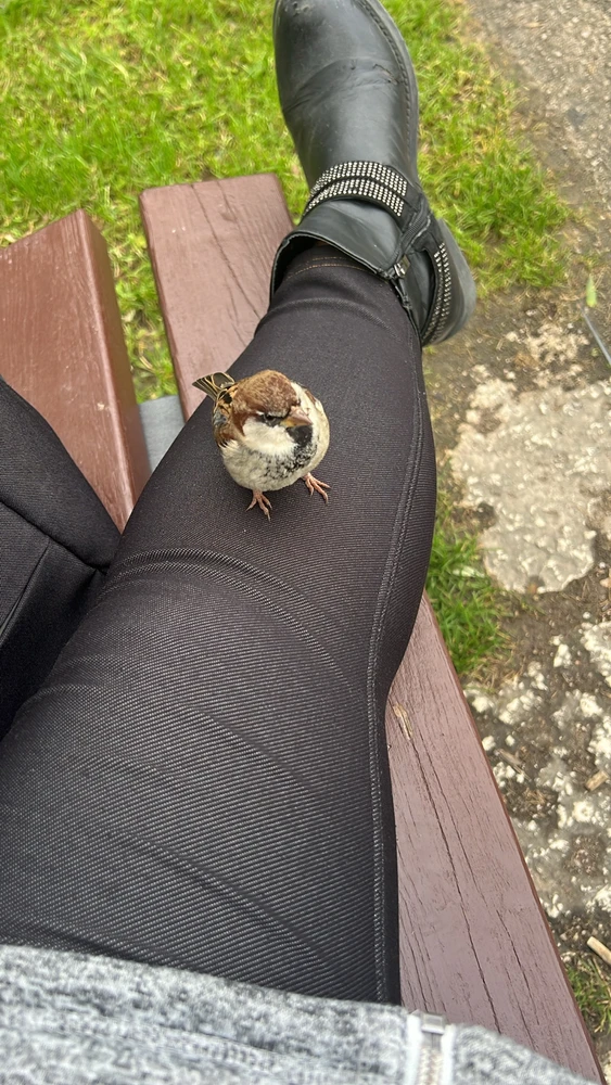 GIF caricata da Samantha