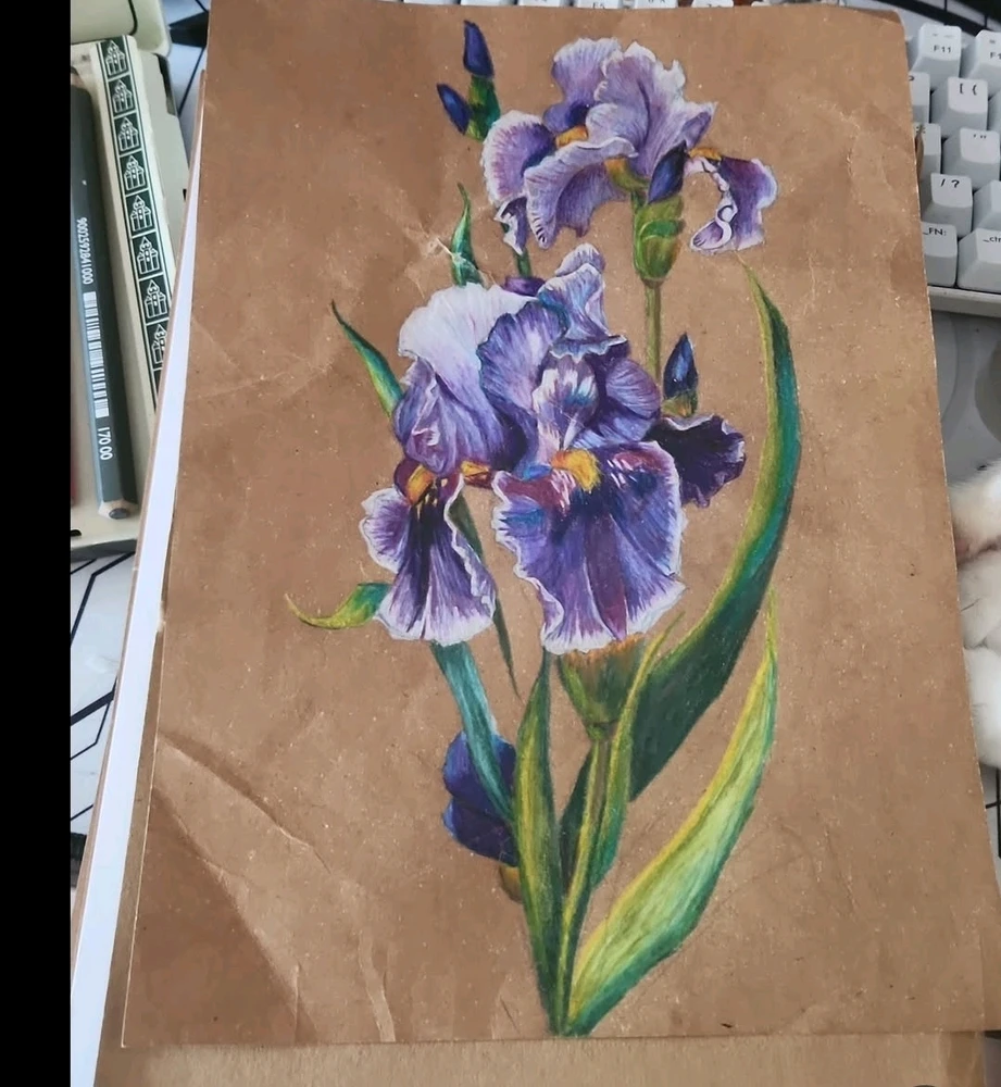 GIF uploaded by Alex