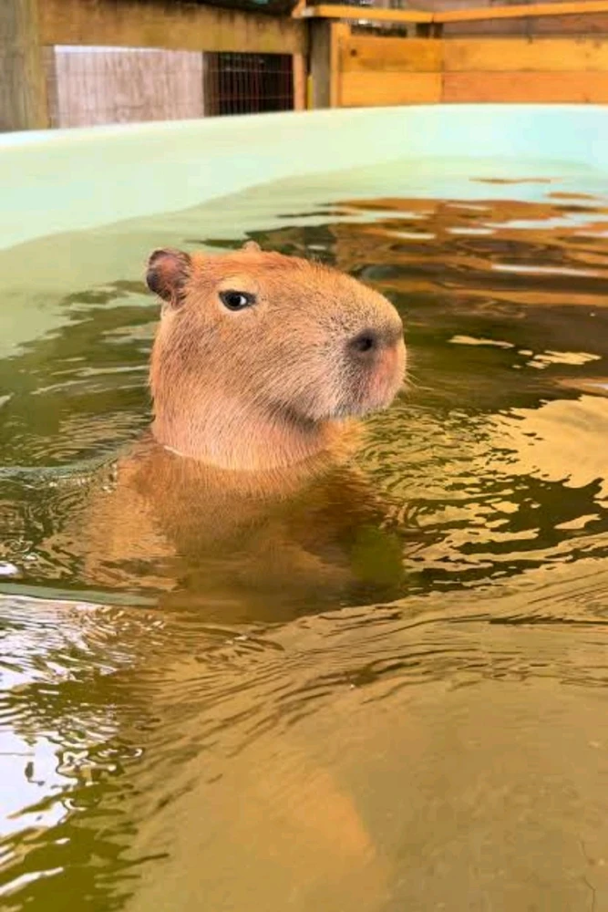 GIF uploaded by ๐ข๐ฎ๐ป๐ฎ๐ท โข ๐ข๐ฎ๐ป๐ฎ๐ท๐ญ๐ฒ๐น๐ฒ๐ฝ๐