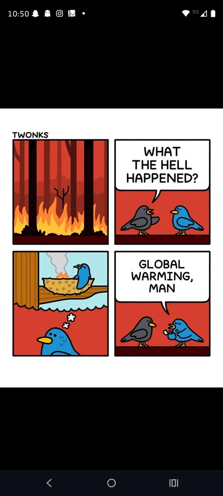 Image uploaded by Gaia