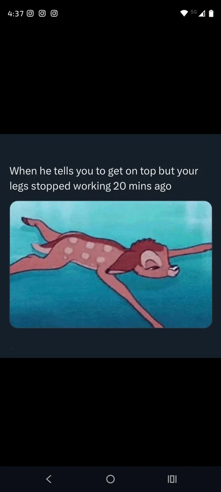 Image uploaded by Gaia