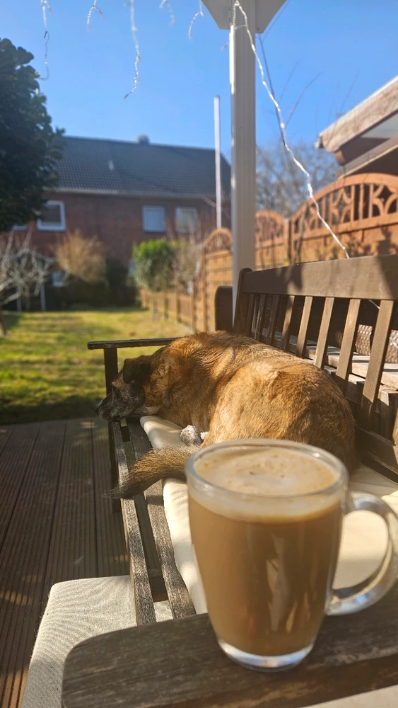 GIF hochgeladen von Axel