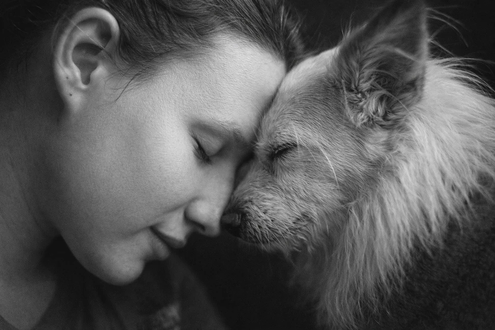 GIF caricata da Fede