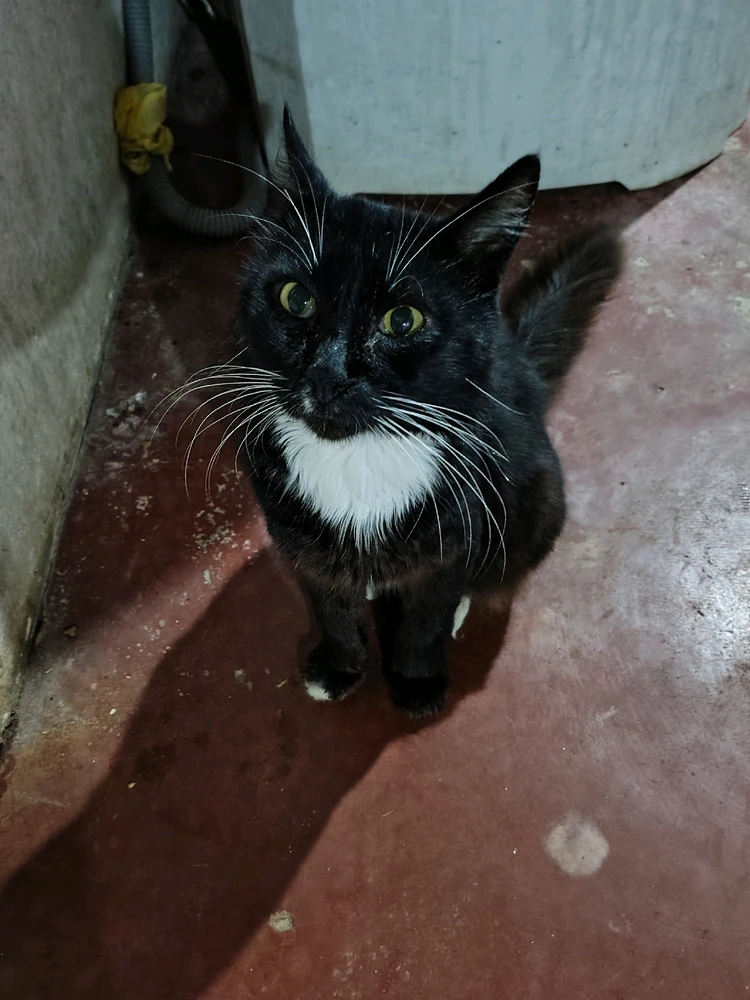 GIF uploaded by Iuri