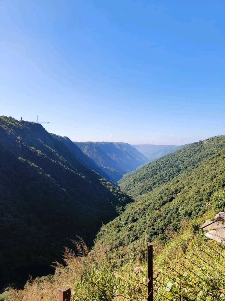 Image uploaded by Pippo