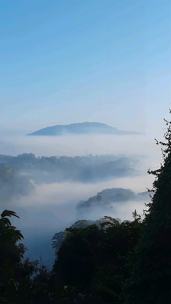 Image uploaded by Pippo