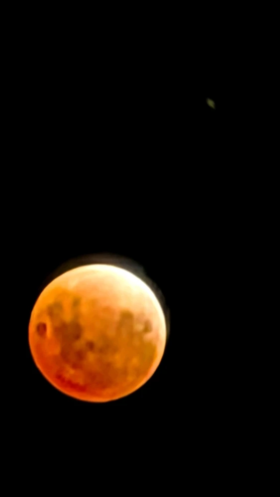 GIF uploaded by 🅐🅝🅣🅗🅞🅝🅨