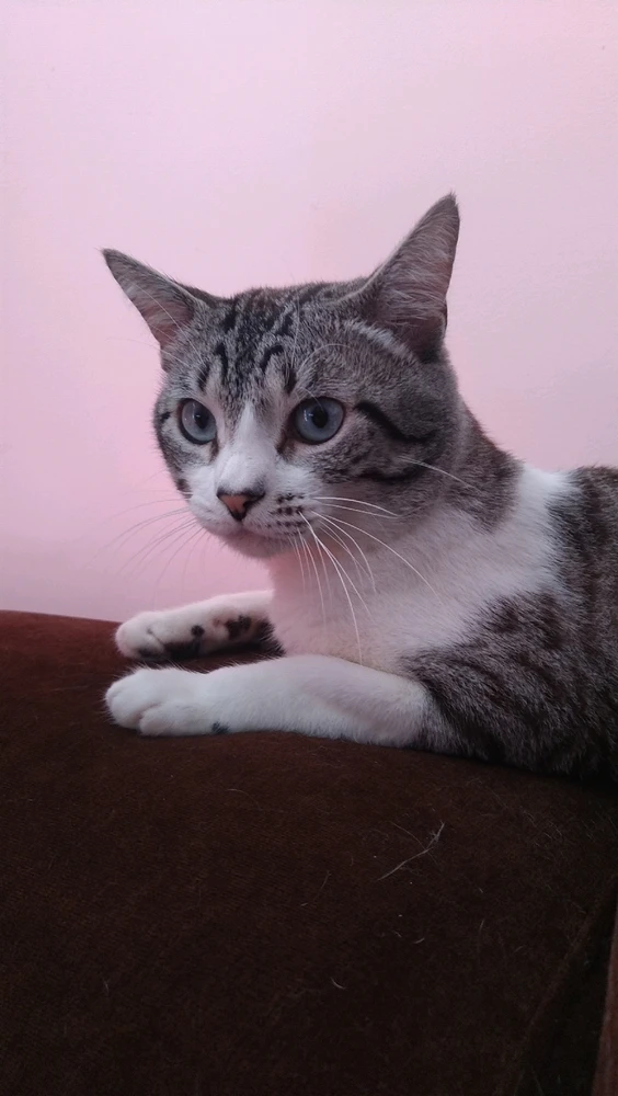 Imagem enviada por Monica