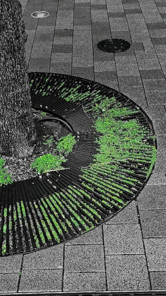 Image uploaded by Kirian