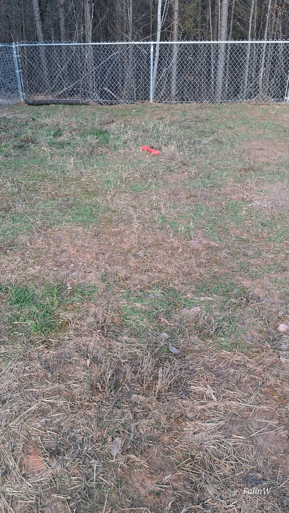 Image uploaded by Falin