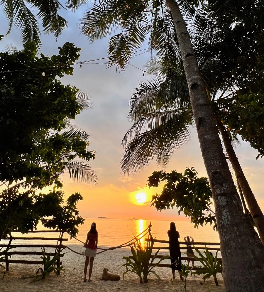 Image uploaded by Ayer