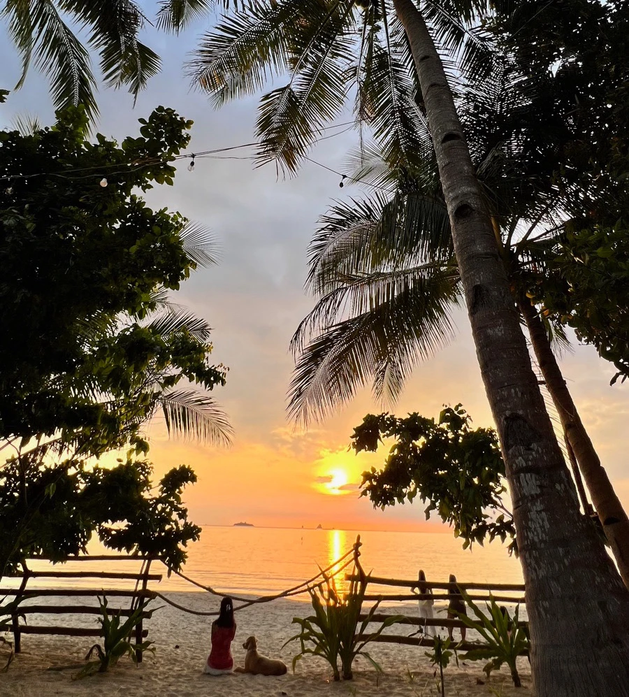 Image uploaded by Ayer