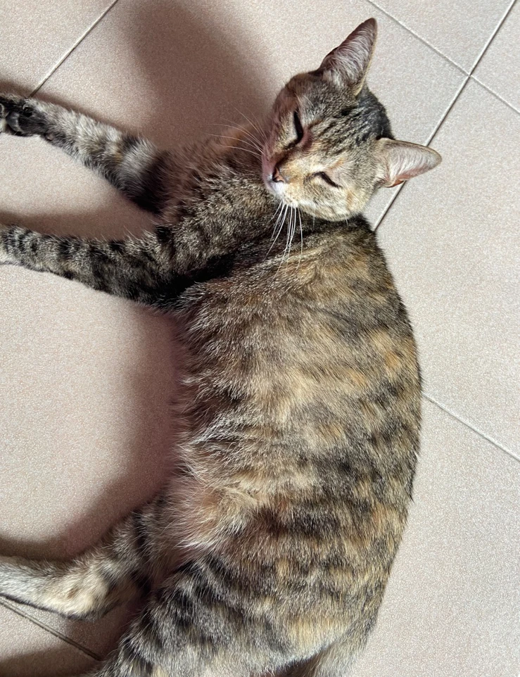 GIF caricata da Emanuela