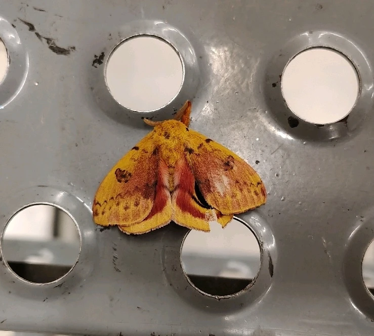 GIF uploaded by MAWKY