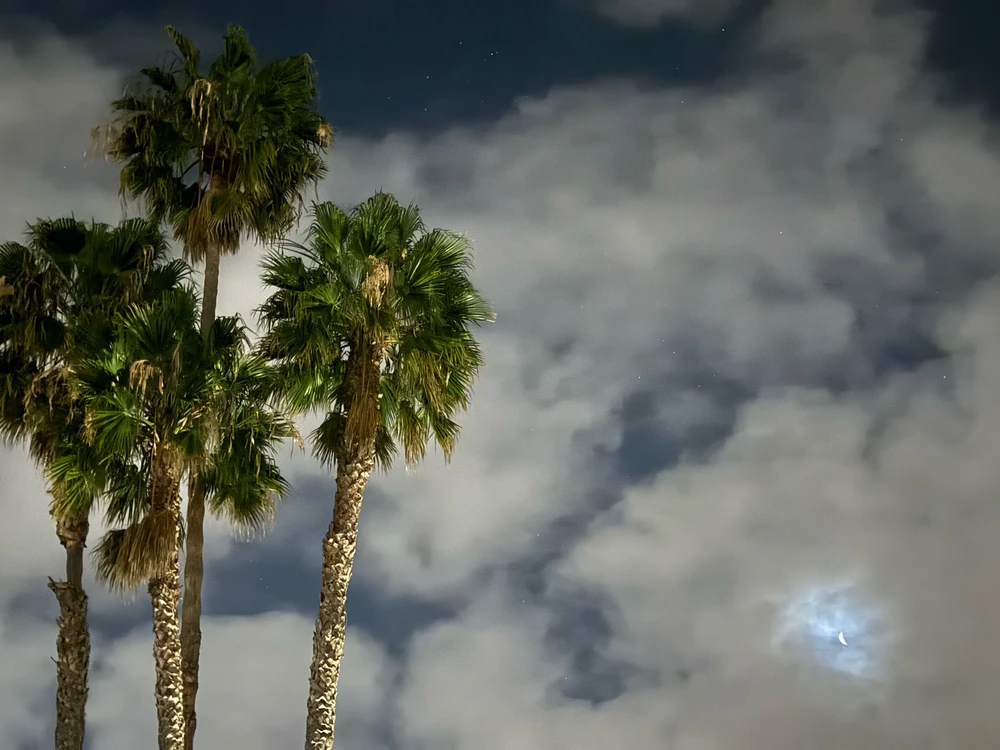 Image uploaded by Guy-O-Blanco