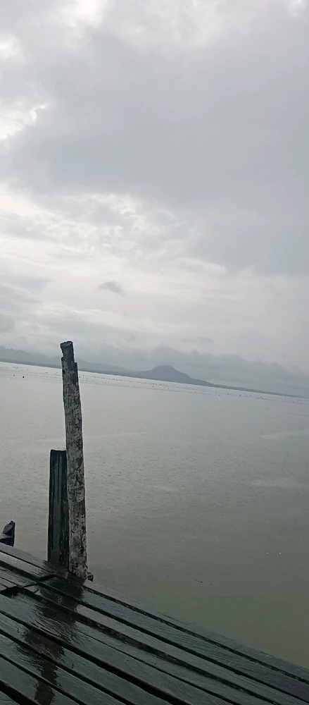 GIF uploaded by syawn