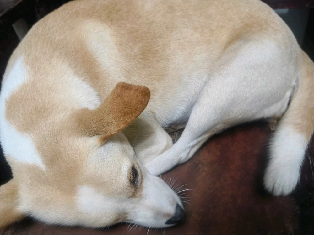 GIF uploaded by Cherry